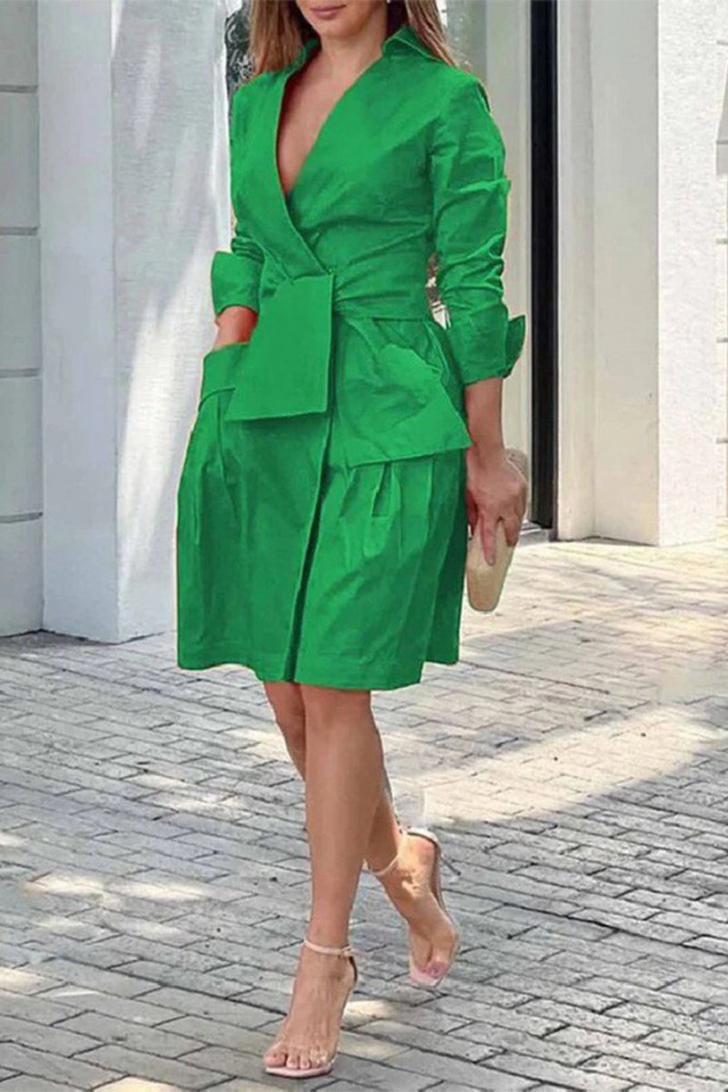Classic Designed Dress