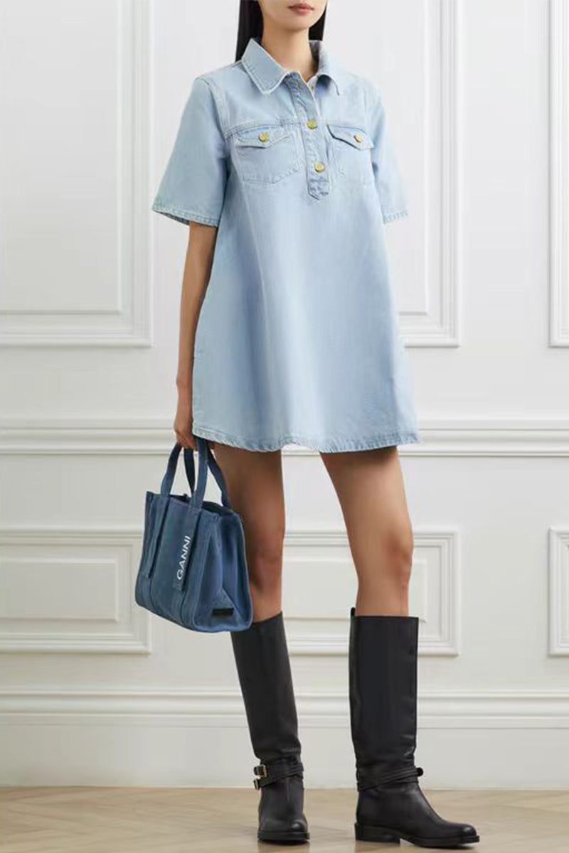 Classic Designed Dress
