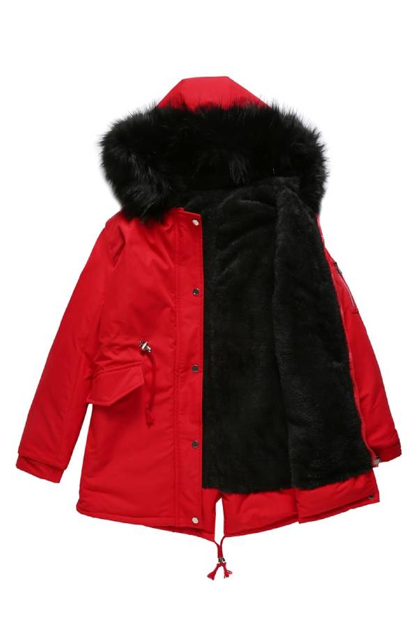 Elegantly Designed Jacket