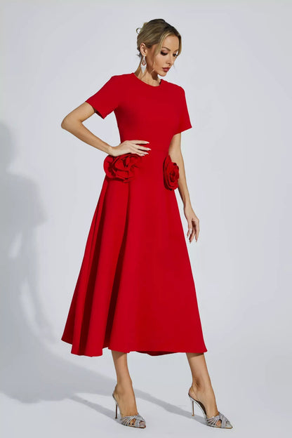 Gracefully Designed Dress