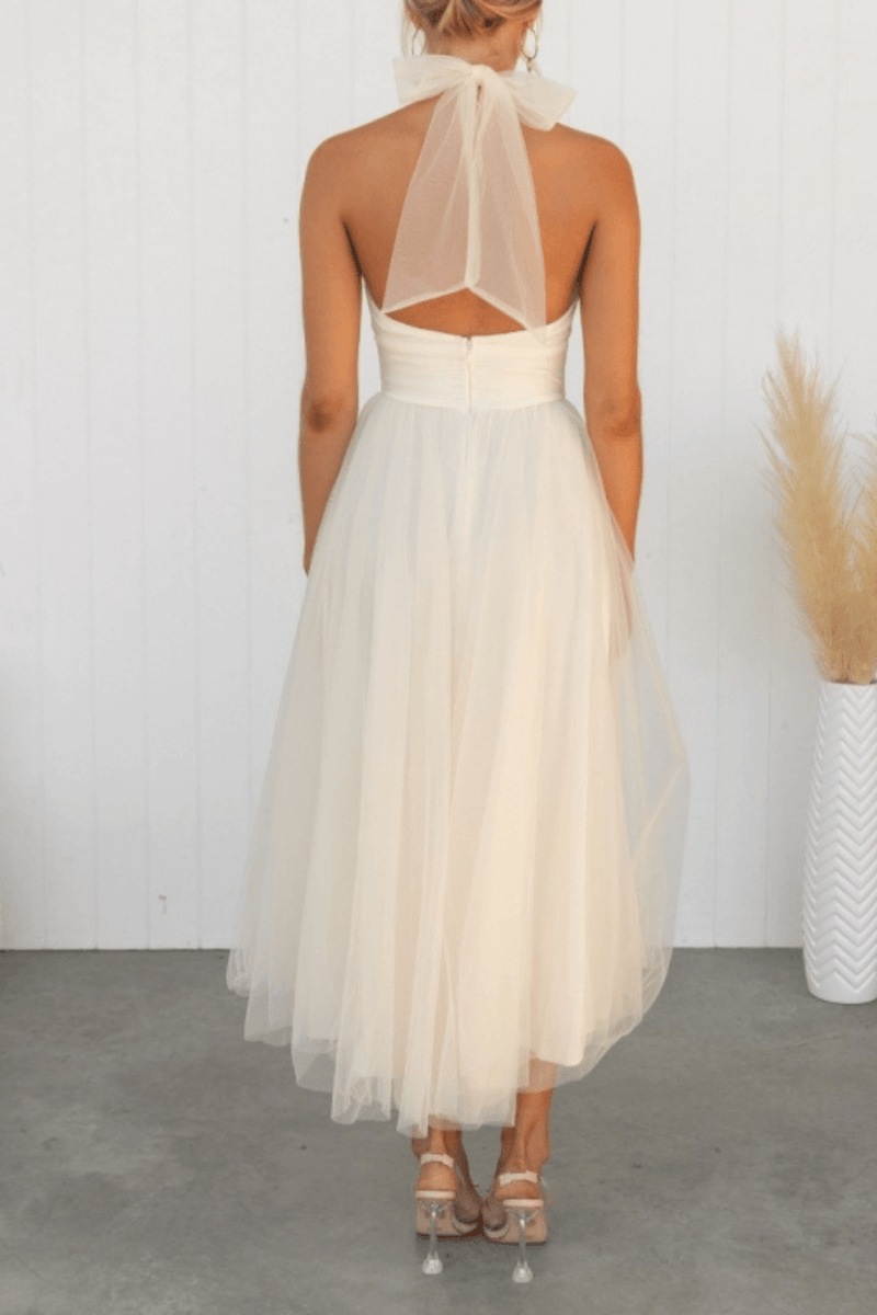 Elegantly Designed Dress