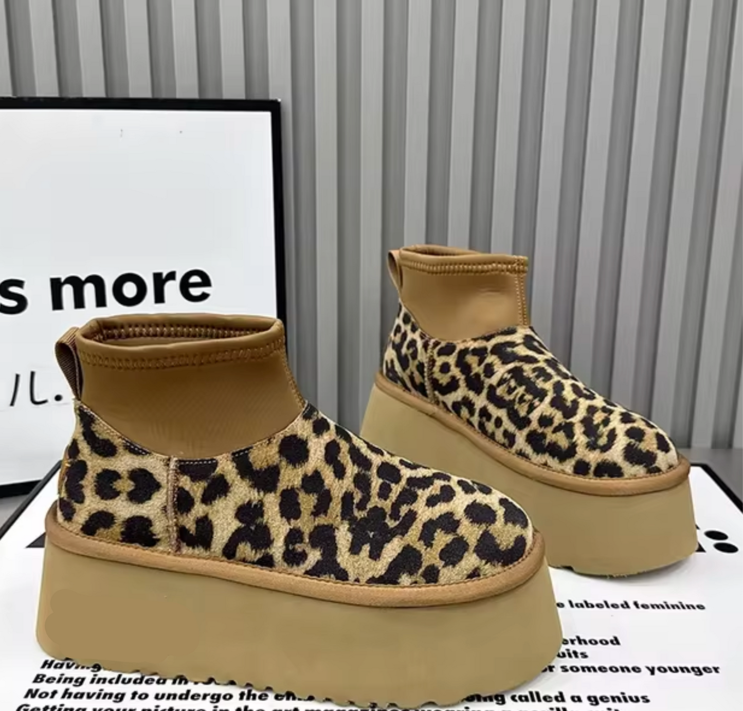 Leopard