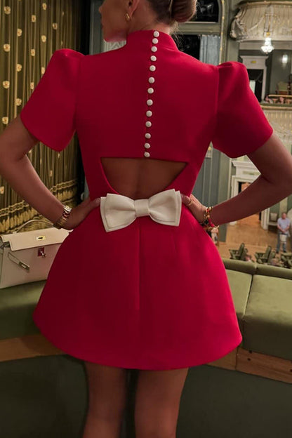 Timeless Vintage Style Dress