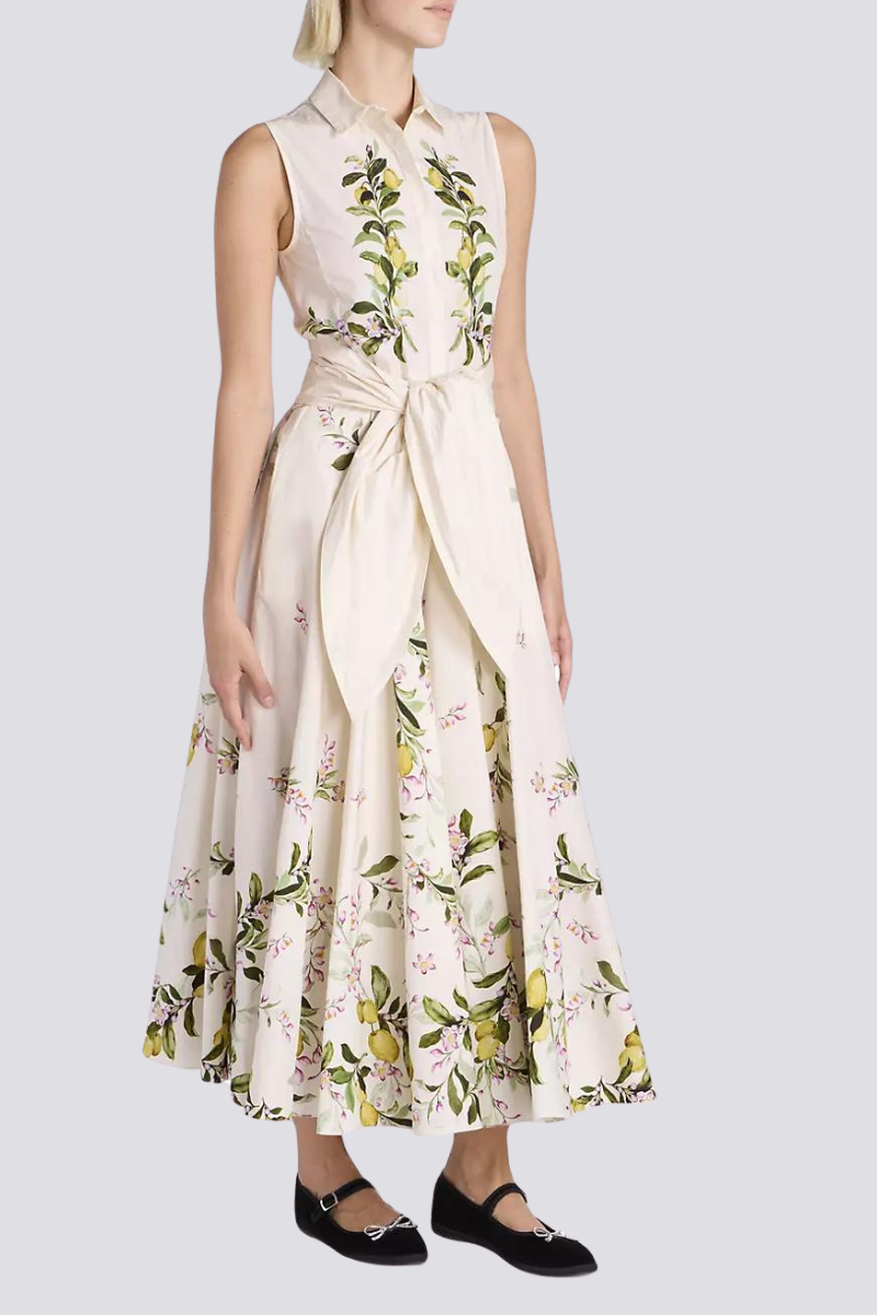 Gracefully Designed Dress