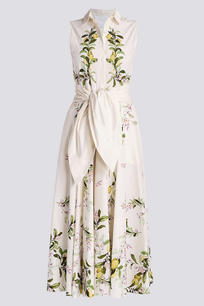 Gracefully Designed Dress