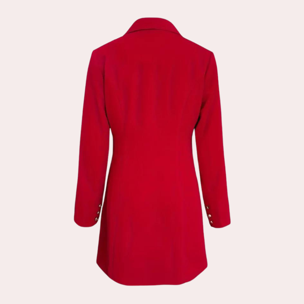 Classic Vintage Dress