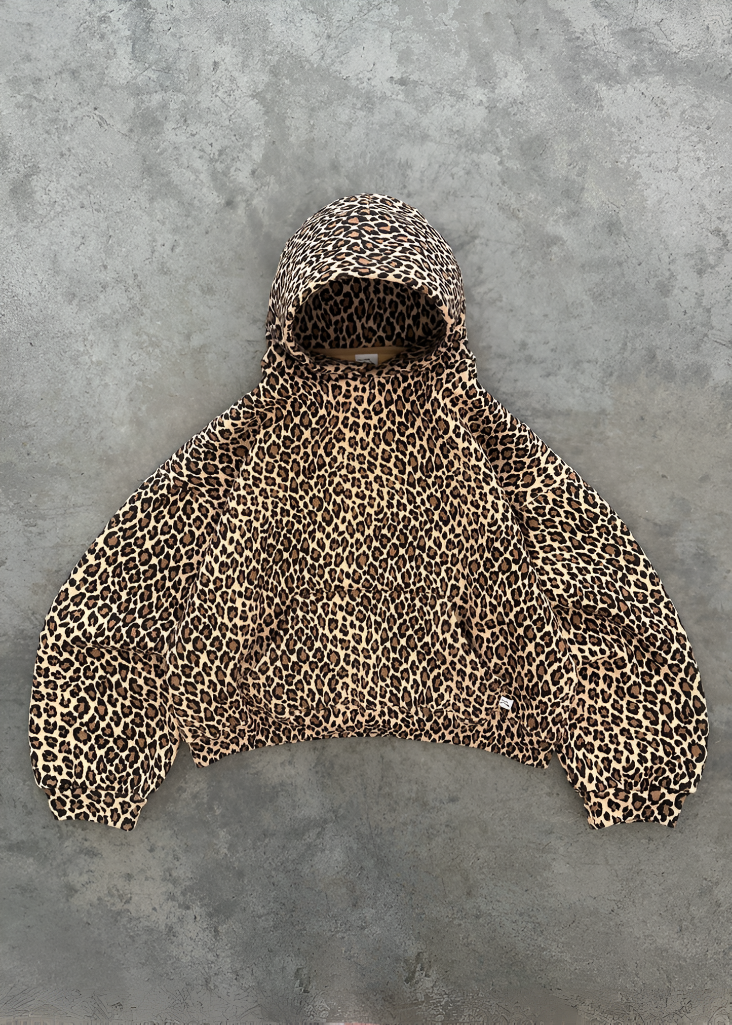 Leopard
