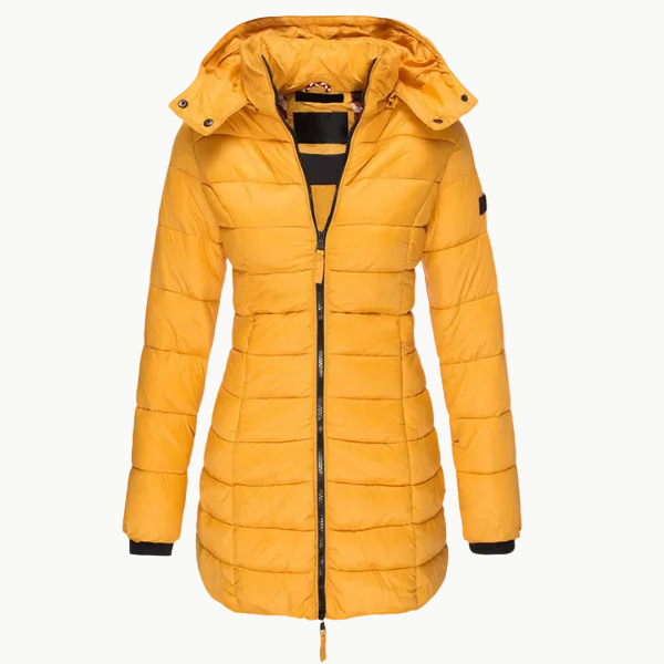 Elegantly Designed Garment