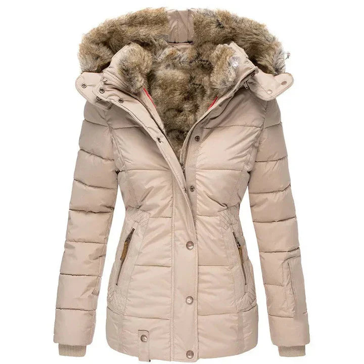 Beautifully Crafted Jacket