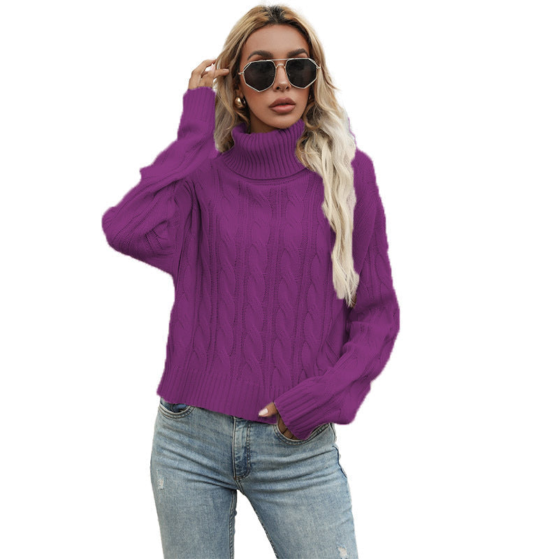 Elegantly Designed Pullover