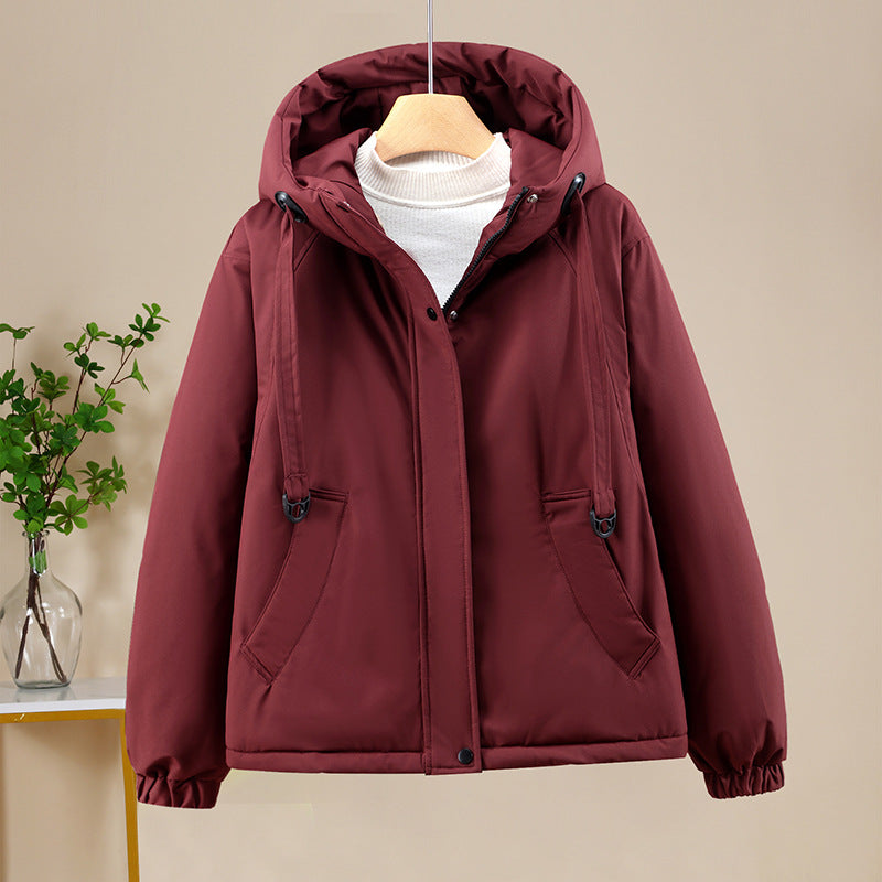 Classic Designed Garment