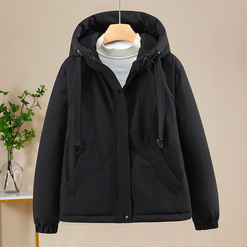Classic Designed Garment