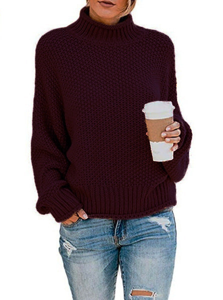 Elegantly Designed Pullover