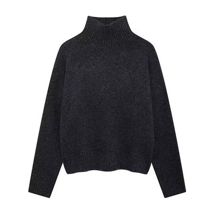 Elegantly Designed Pullover
