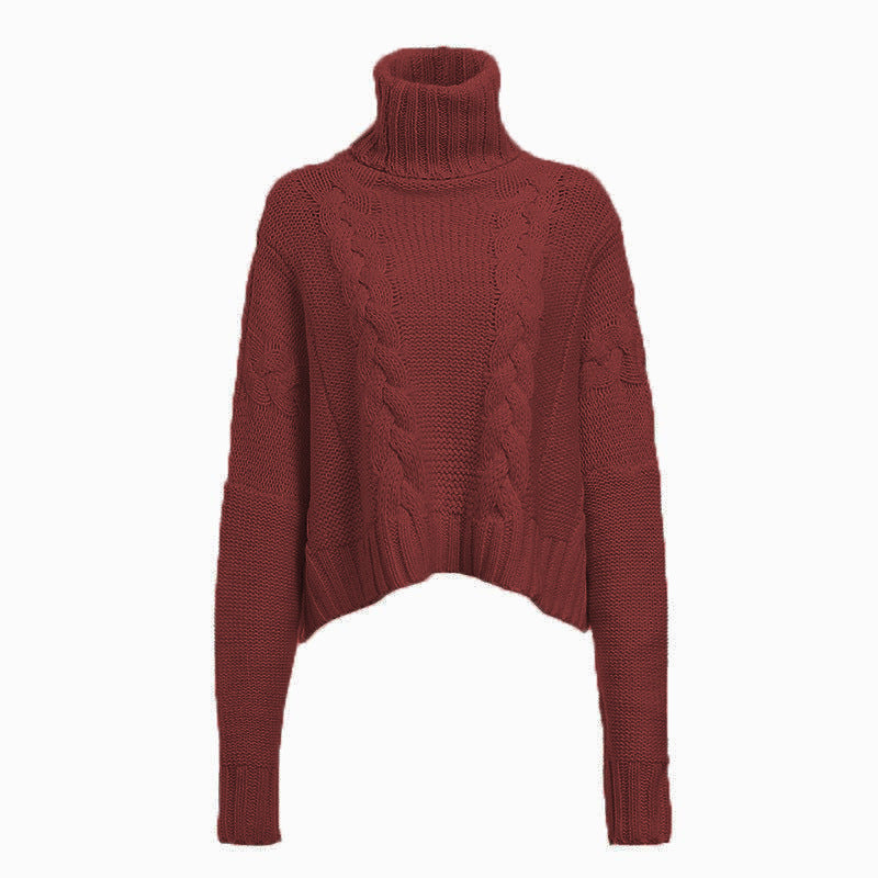 Elegantly Designed Pullover