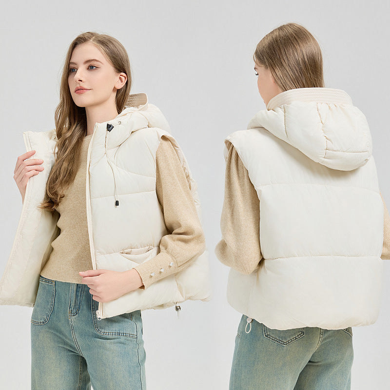 Classic Designed Garment