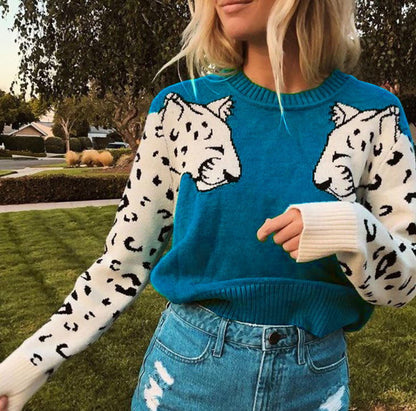 Elegantly Designed Pullover