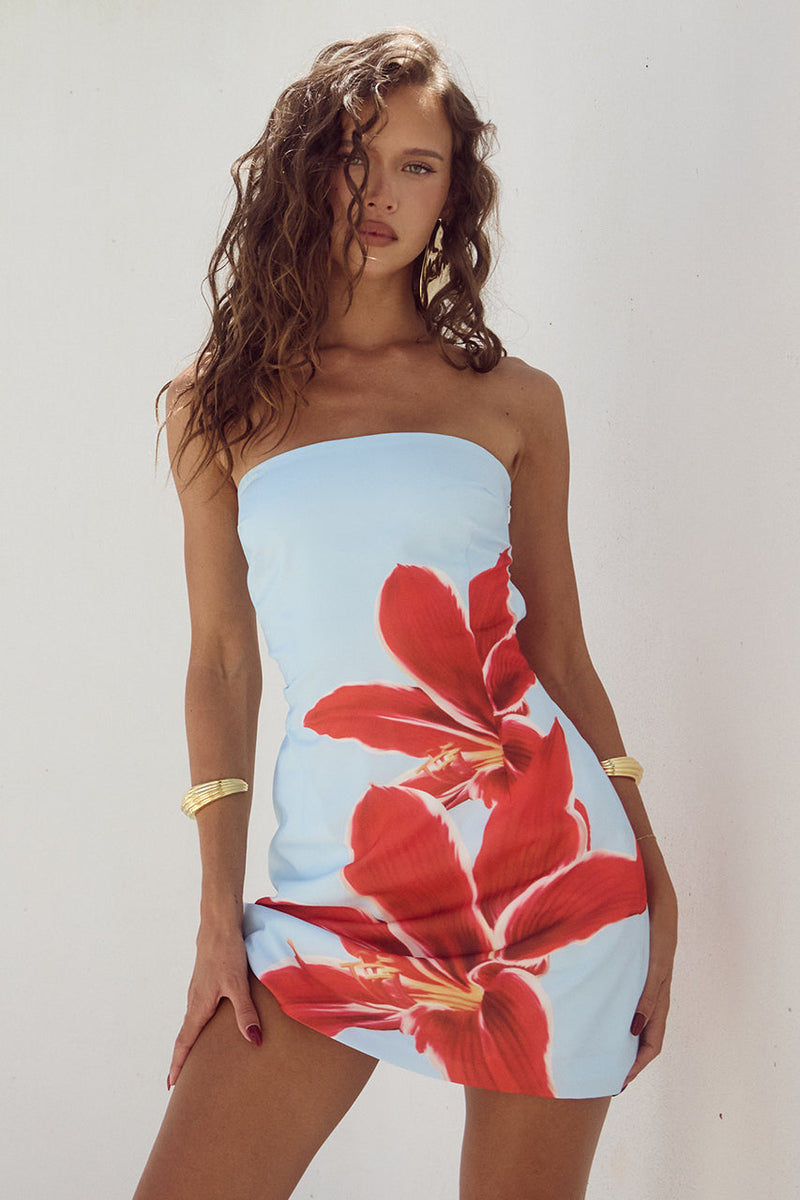 Beautifully Crafted Dress