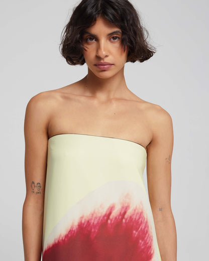 Classic Designed Dress