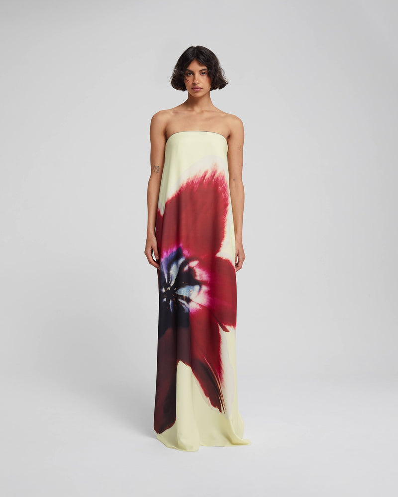 Classic Designed Dress