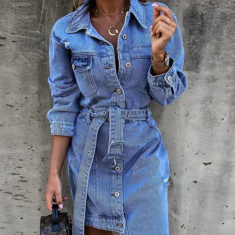Timeless Vintage Style Dress
