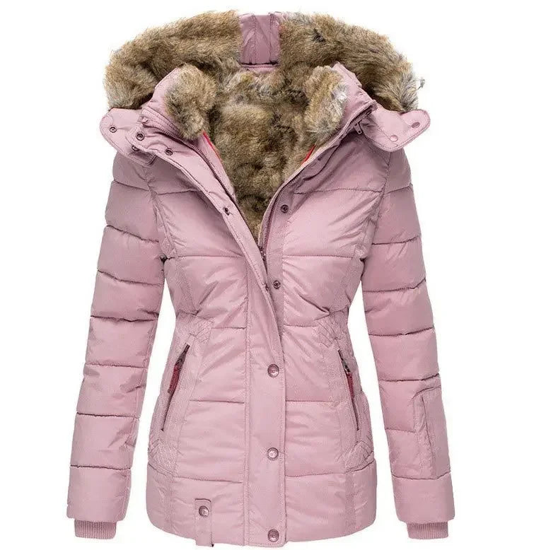 Elegantly Designed Jacket
