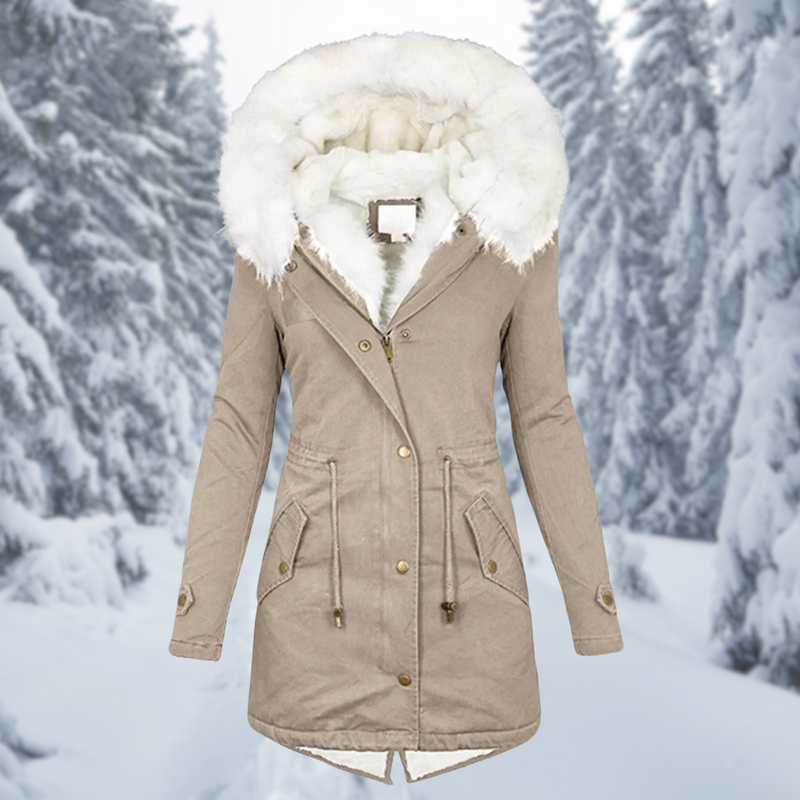 Classic Designed Garment