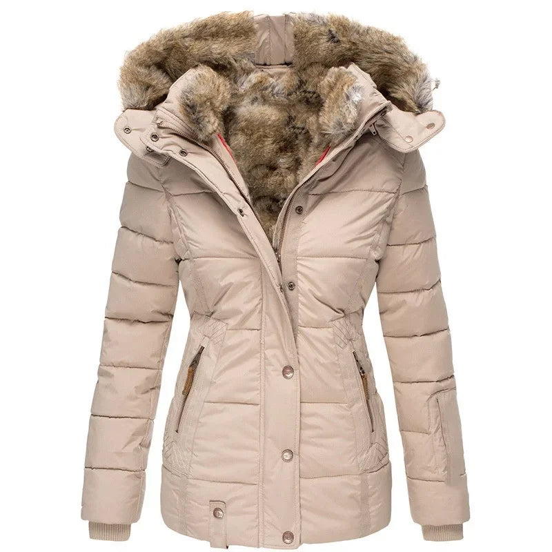 Elegantly Designed Jacket