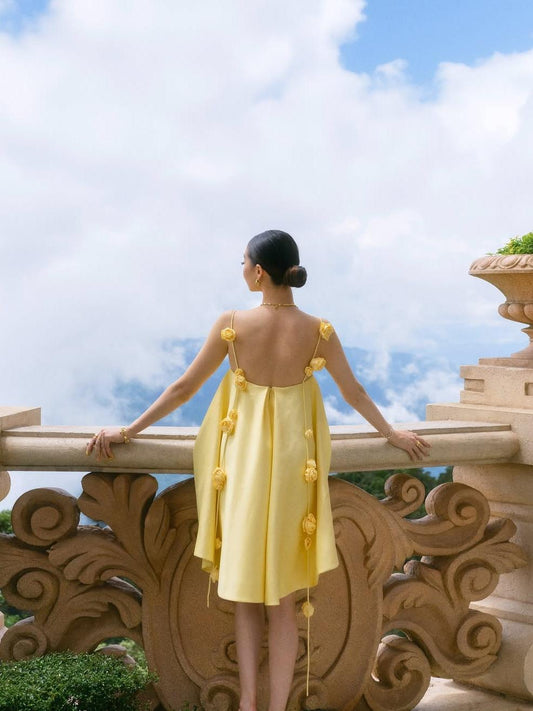 Thoughtfully Designed Dress