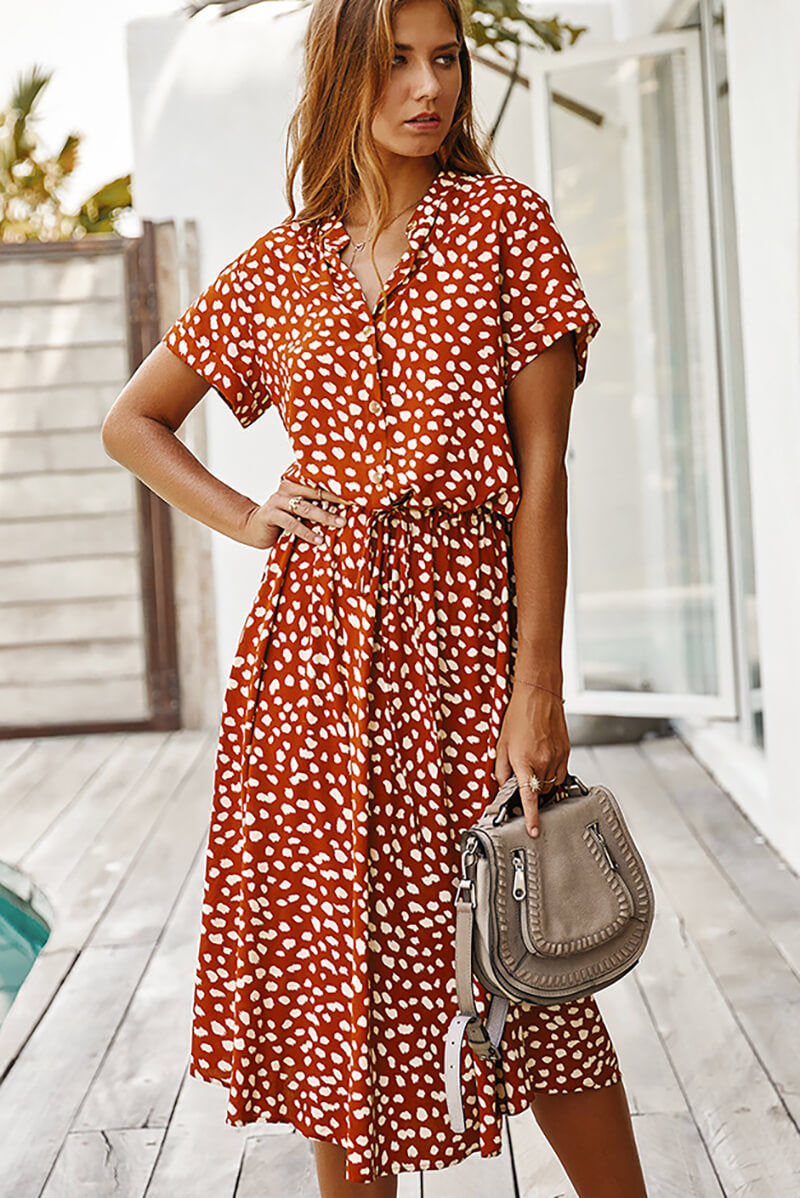 Classic Designed Dress