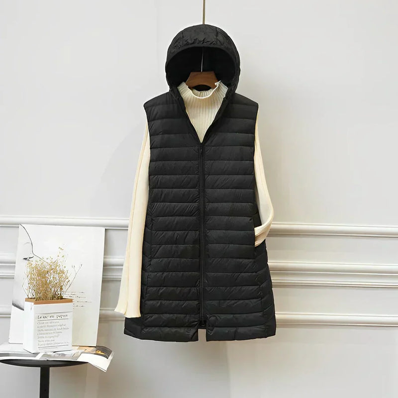 Gracefully Designed Coat