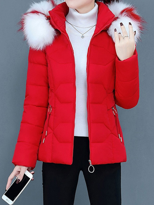 Elegantly Designed Coat