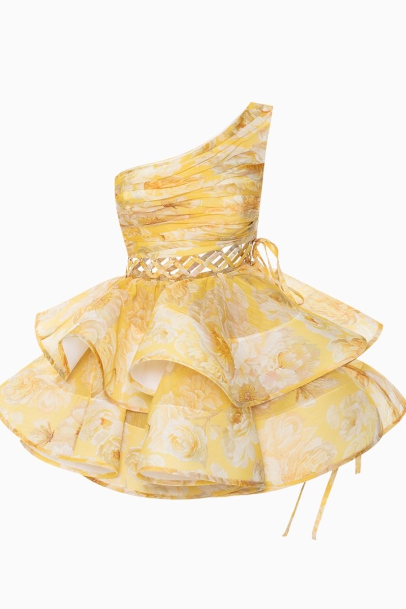 Elegantly Designed Dress