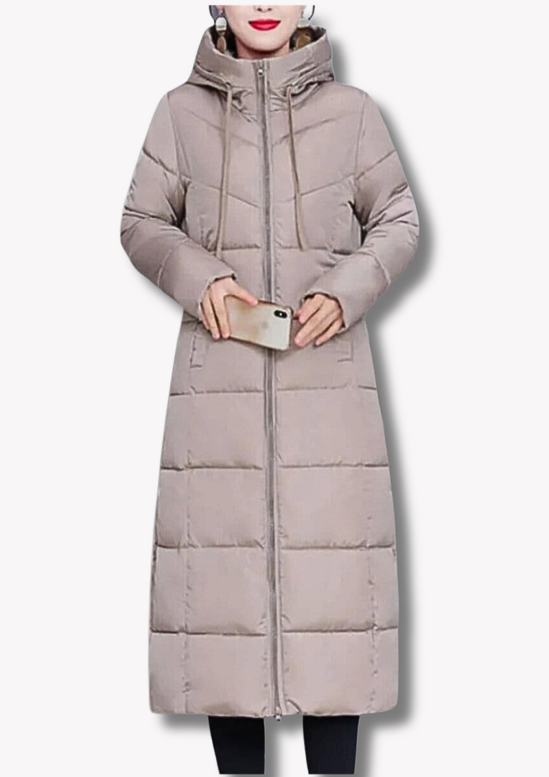 Elegantly Designed Garment