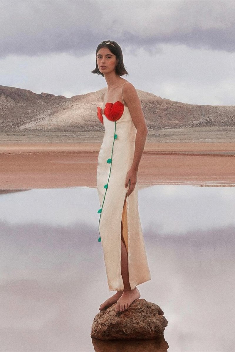 Elegantly Designed Dress