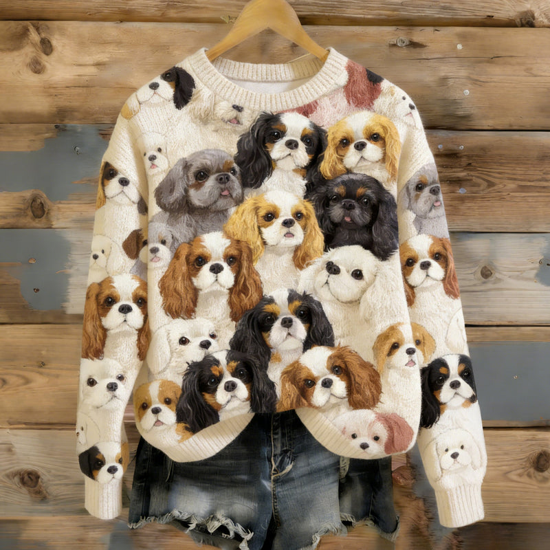Elegantly Designed Sweater