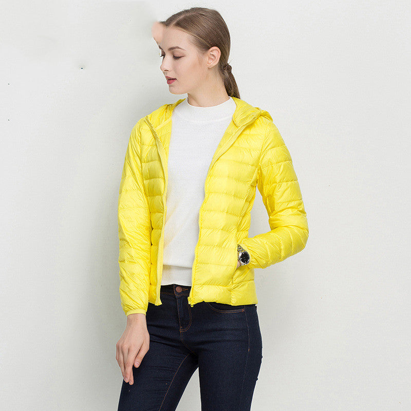Classic Designed Garment