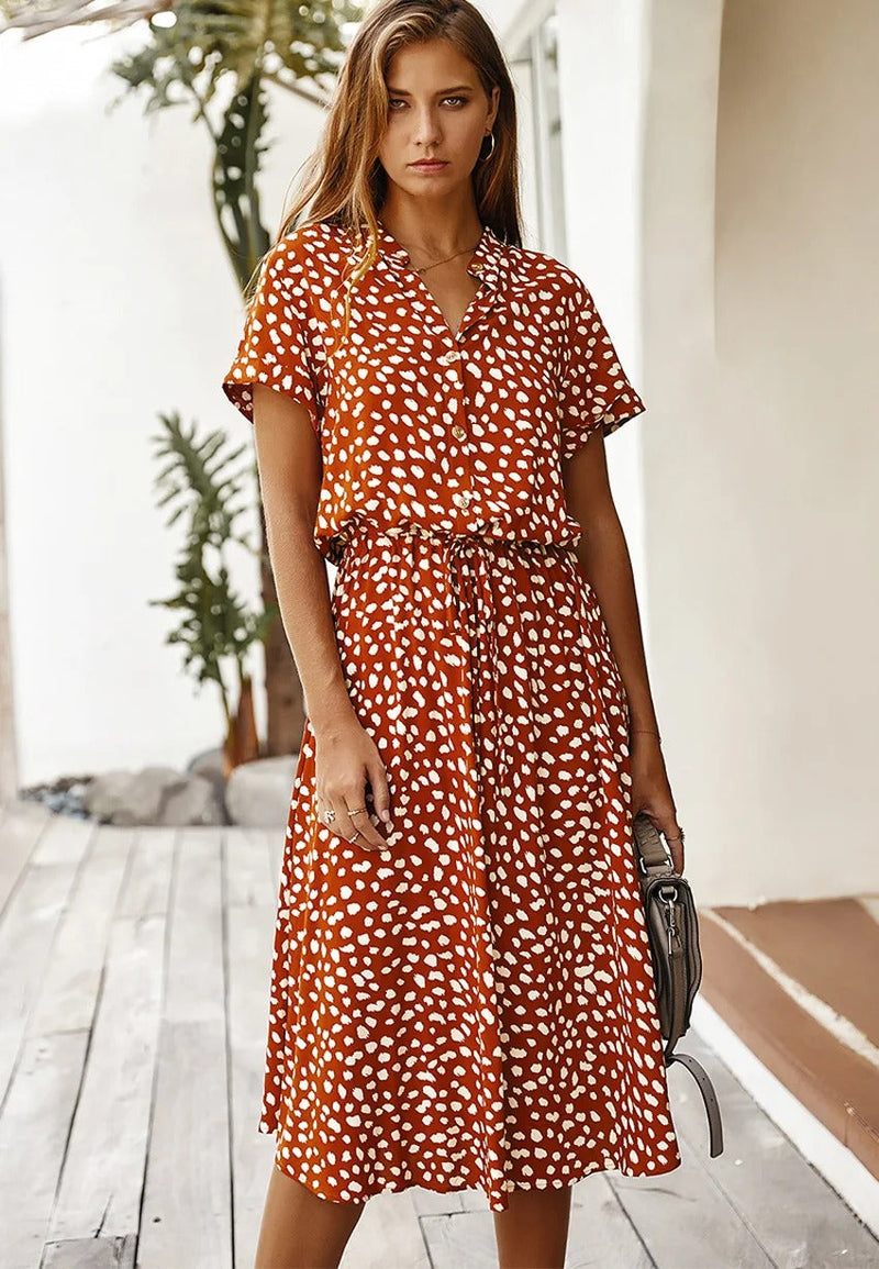Timeless Vintage Style Dress