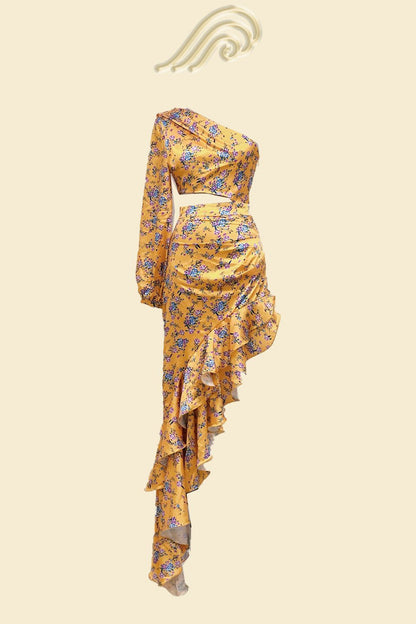Elegantly Designed Dress