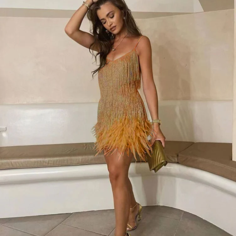 Classic Designed Dress