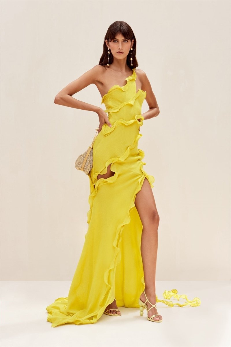 Classic Designed Dress