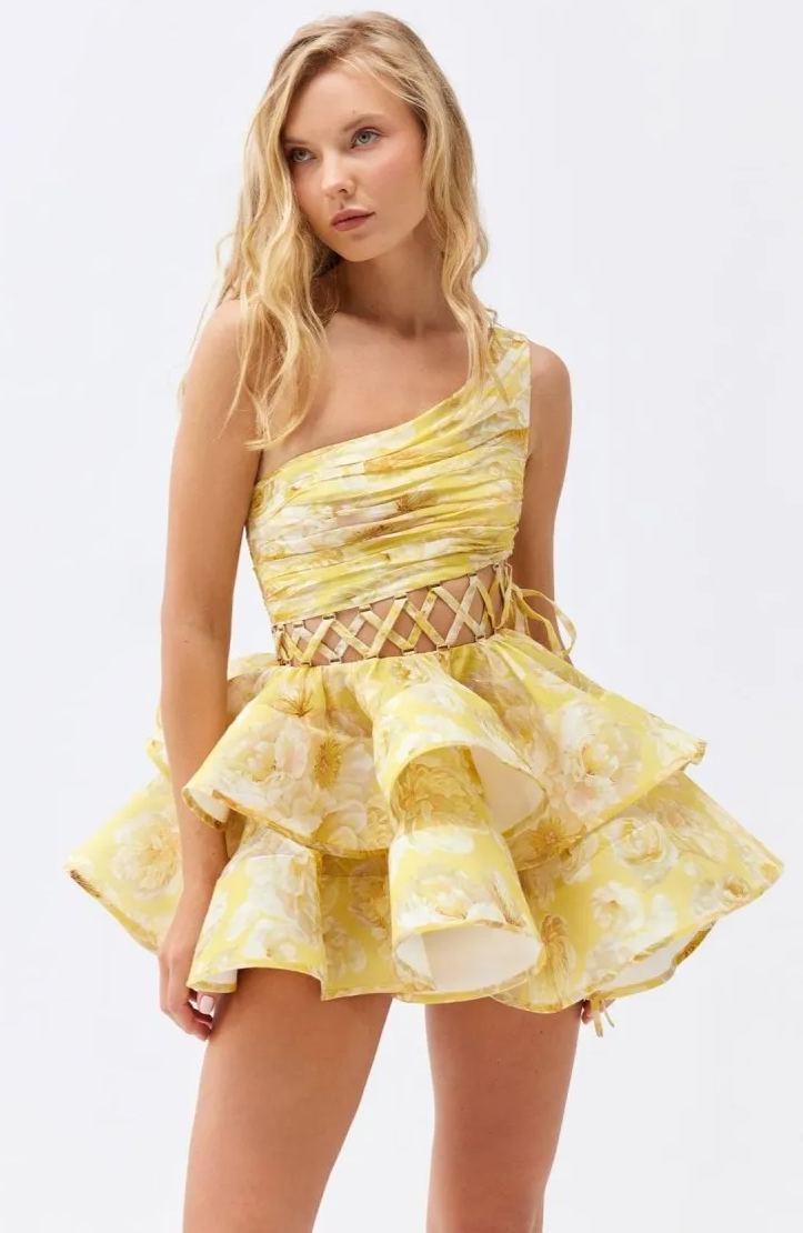 Timeless Vintage Style Dress