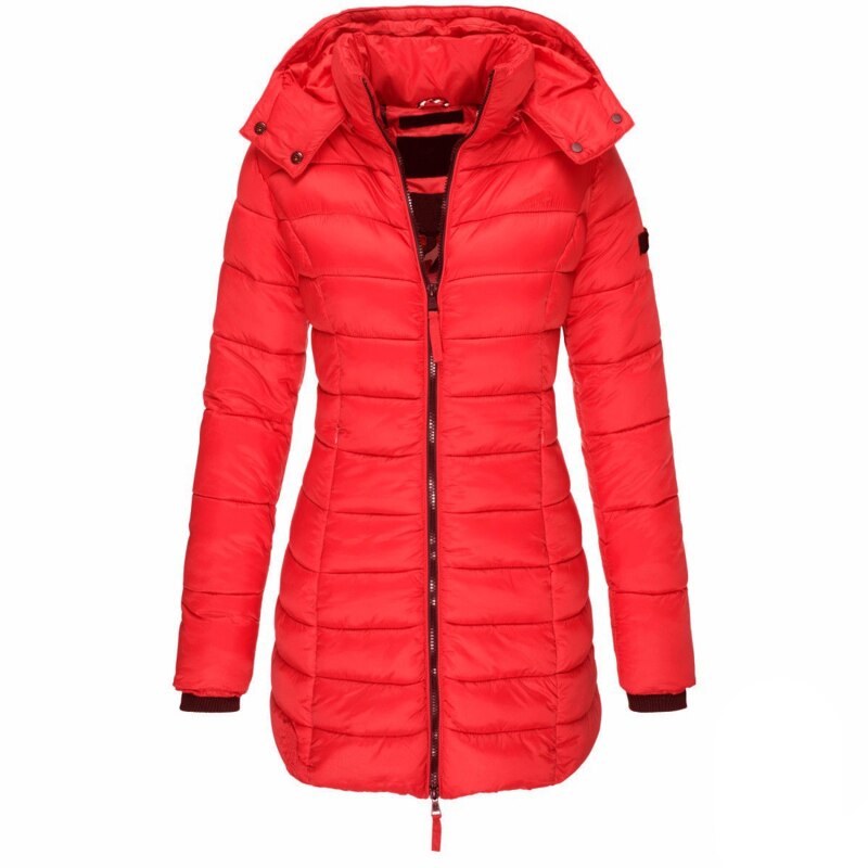 Beautifully Crafted Jacket