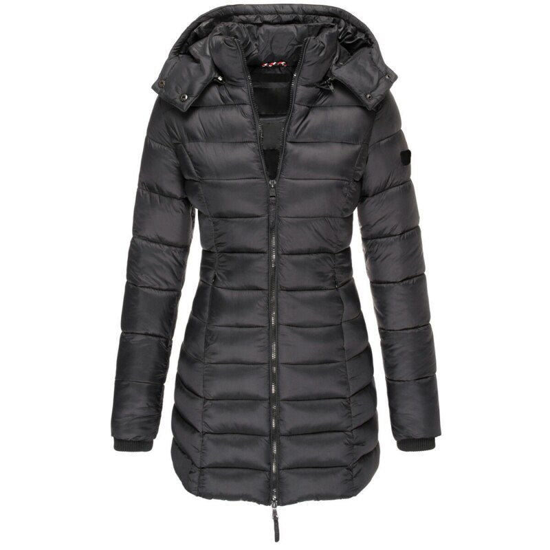 Elegantly Designed Jacket