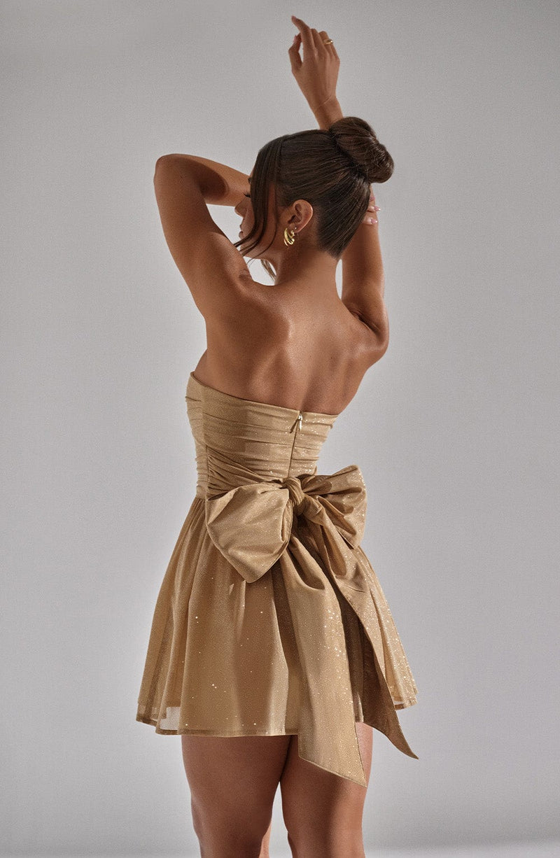 Classic Designed Dress