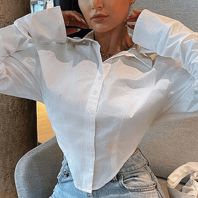 Classic Designed Blouse