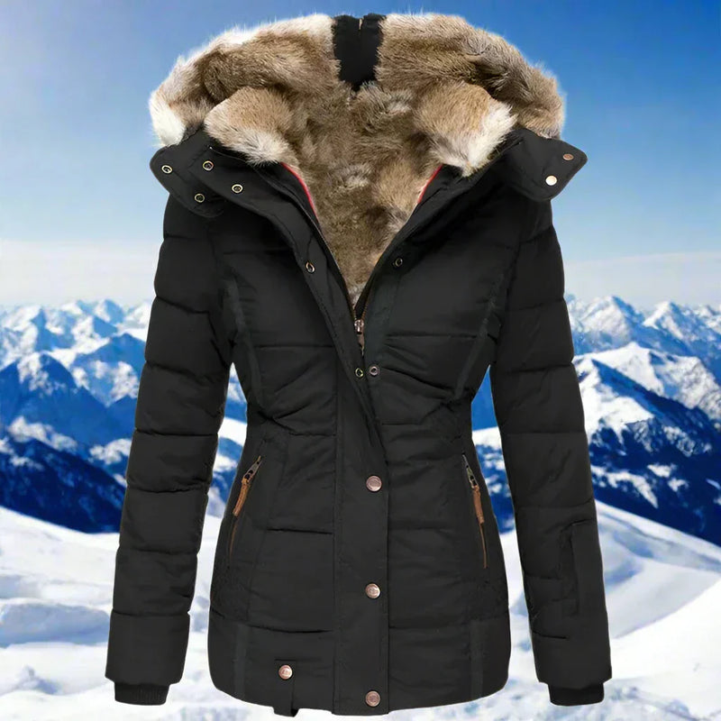 Beautifully Crafted Jacket