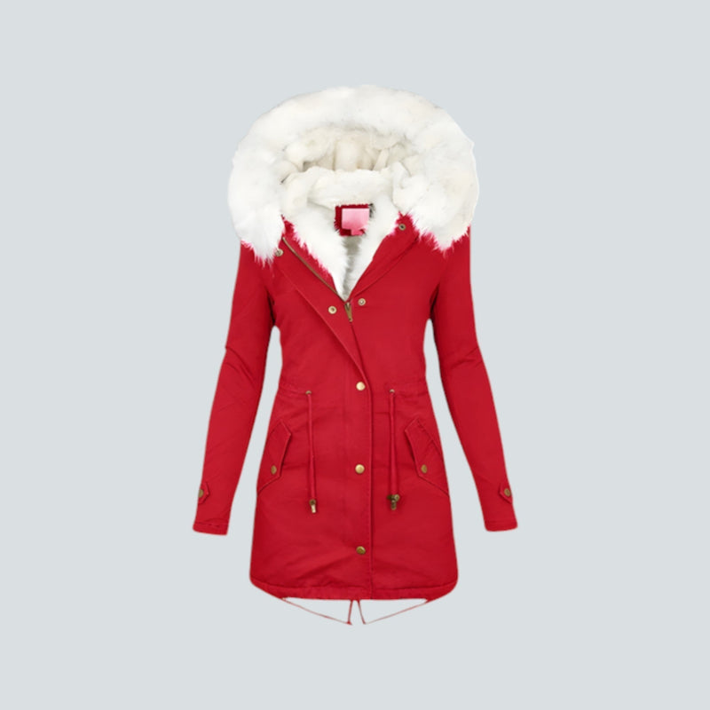 Elegantly Designed Jacket
