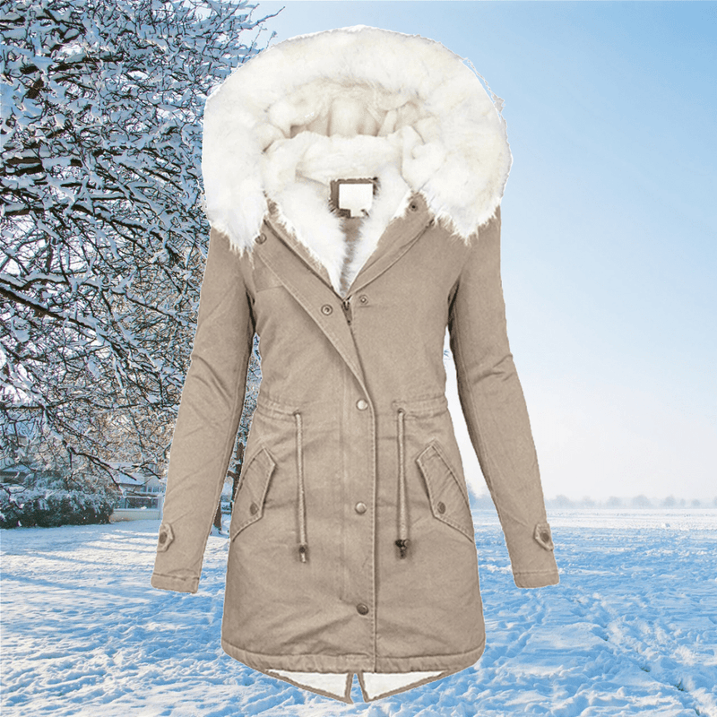 Classic Designed Garment