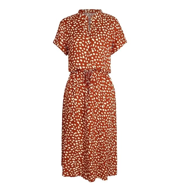 Timeless Vintage Style Dress